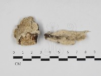 登錄號:F0033014藏品圖，第1張