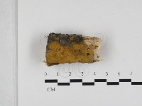 登錄號:F0033015藏品圖，第1張