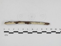 登錄號:F0033016藏品圖，第1張