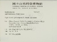 登錄號:F0033017藏品圖，第2張