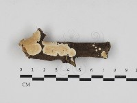 登錄號:F0033018藏品圖，第1張