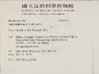 登錄號:F0033019藏品圖，第2張