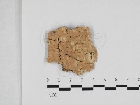 登錄號:F0033019藏品圖，第1張