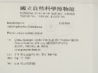 登錄號:F0033020藏品圖，第2張