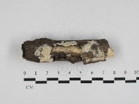 登錄號:F0033021藏品圖，第1張