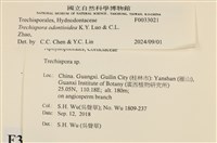 登錄號:F0033021藏品圖，第3張