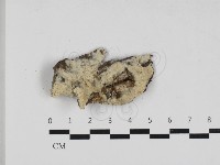 登錄號:F0033022藏品圖，第1張