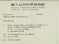 筍殼菌屬藏品圖，第2張