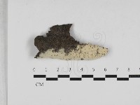 登錄號:F0033025藏品圖，第1張