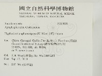 登錄號:F0033028藏品圖，第2張