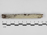 登錄號:F0033028藏品圖，第1張