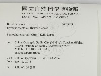 登錄號:F0033029藏品圖，第2張