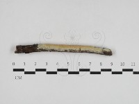 登錄號:F0033030藏品圖，第1張