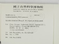 登錄號:F0033031藏品圖，第2張