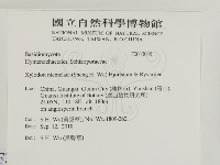 登錄號:F0033035藏品圖，第2張