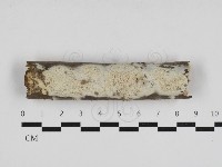 登錄號:F0033037藏品圖，第1張