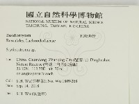 登錄號:F0033039藏品圖，第2張