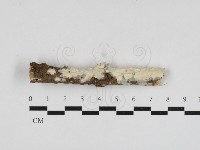 登錄號:F0033039藏品圖，第1張