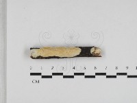 登錄號:F0033040藏品圖，第1張