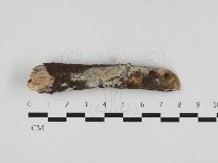 登錄號:F0033041藏品圖，第1張