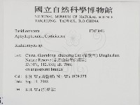 登錄號:F0033043藏品圖，第2張