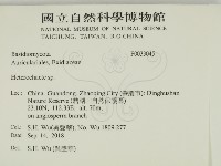 刺皮菌屬藏品圖，第2張