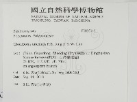 登錄號:F0033046藏品圖，第2張