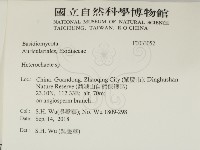 刺皮菌屬藏品圖，第2張