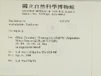 登錄號:F0033054藏品圖，第2張
