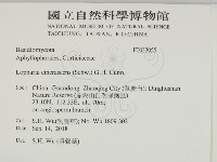 登錄號:F0033055藏品圖，第2張