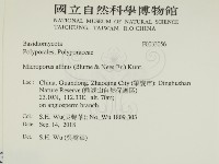 相鄰小孔菌藏品圖，第2張