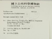 登錄號:F0033058藏品圖，第2張