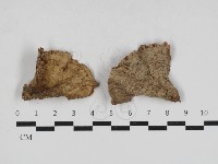 登錄號:F0033058藏品圖，第1張