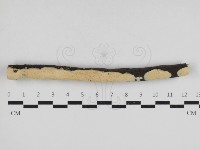 登錄號:F0033060藏品圖，第1張