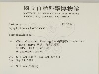 登錄號:F0033061藏品圖，第2張