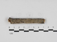 登錄號:F0033061藏品圖，第1張