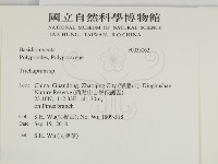 附毛菌屬藏品圖，第2張