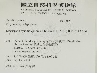 登錄號:F0033065藏品圖，第2張