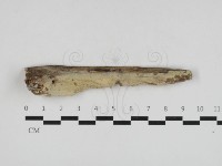 登錄號:F0033066藏品圖，第1張