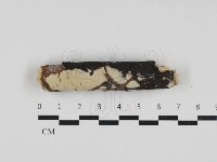 登錄號:F0033070藏品圖，第1張