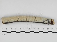 登錄號:F0033071藏品圖，第1張