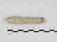 登錄號:F0033072藏品圖，第1張