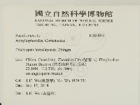 登錄號:F0033073藏品圖，第2張