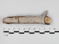 登錄號:F0033073藏品圖，第1張