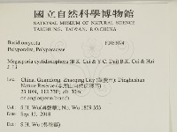 登錄號:F0033074藏品圖，第2張