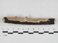 登錄號:F0033074藏品圖，第1張