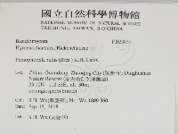 登錄號:F0033075藏品圖，第2張