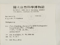 附毛菌屬藏品圖，第2張