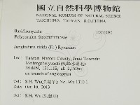 登錄號:F0033080藏品圖，第2張