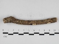 登錄號:F0033080藏品圖，第1張